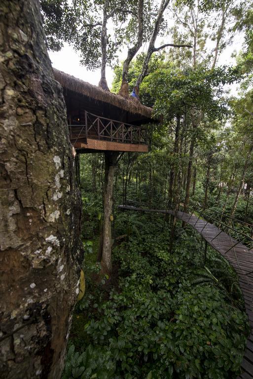 Hotel Pepper Trail Sultan Bathery Pokoj fotografie